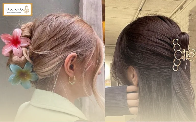 تنوع در شکل و رنگ