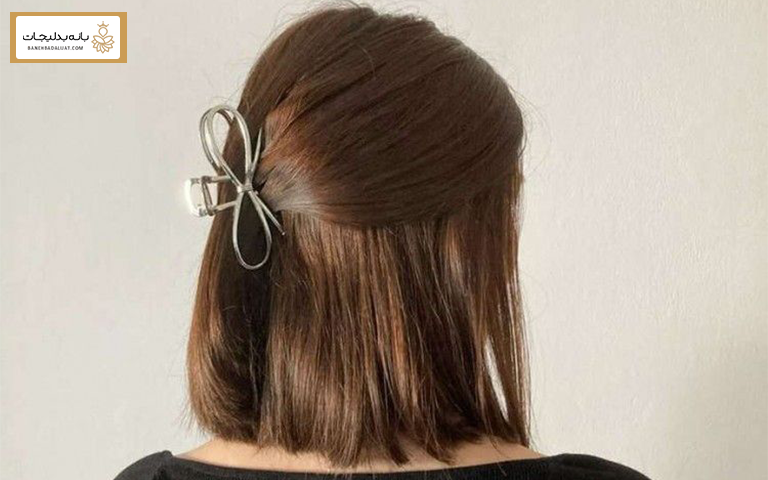 مدل مو با کلیپس برای موی کوتاه