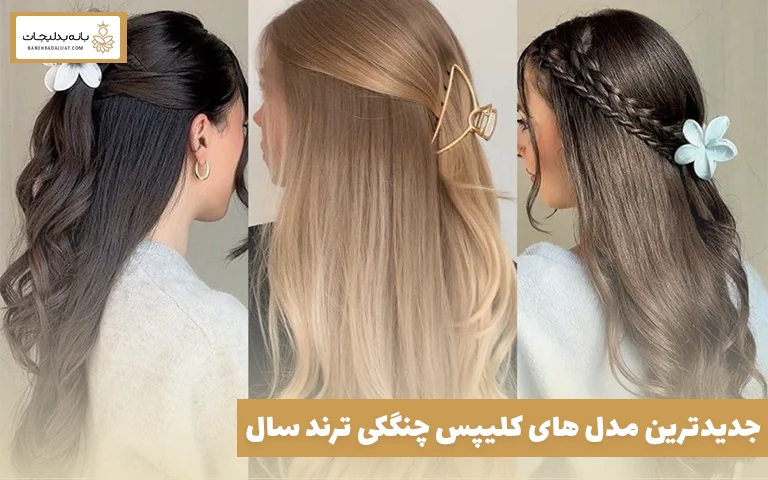 جدیدترین مدل‌ های کلیپس چنگکی ترند سال